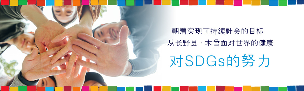 SDGs